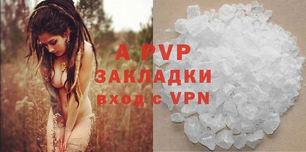 стаф Беломорск